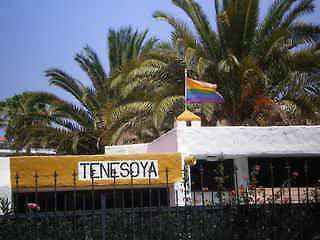 Tenesoya Gay Men Only Station touristique Playa del Inglés